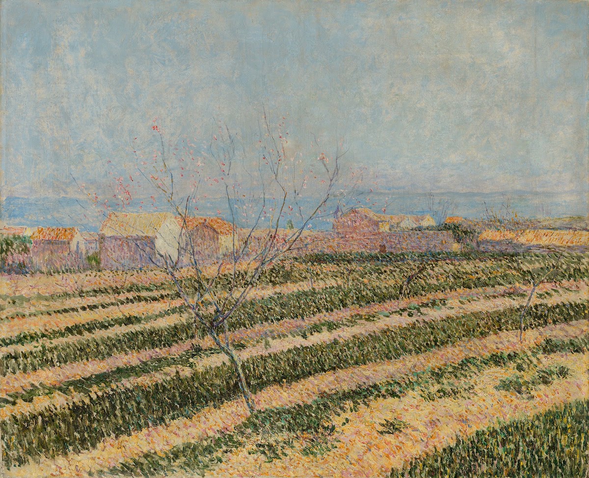 Capri 1899