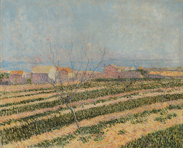 Capri 1899