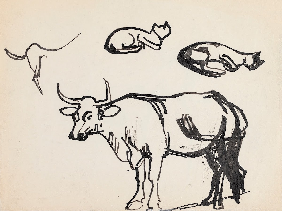 Animal studies cat and ox 20th century