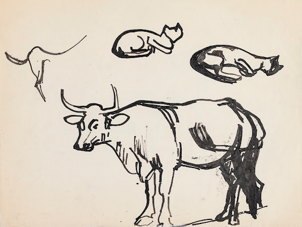 Animal studies cat and ox 20th century