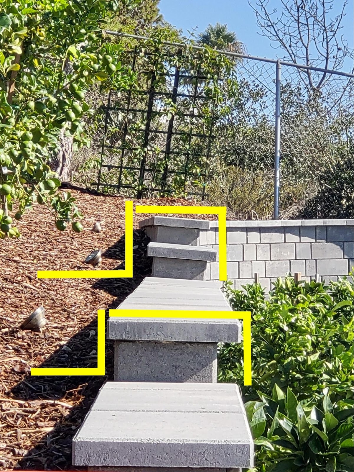 Front entry damage from defective irrigation — June 2022