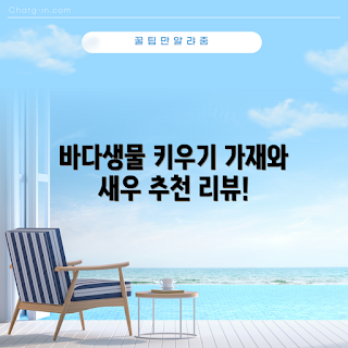 애완가재, 바다소라게 기르기, 새우 키우는 방법, 바닷게 관리법, 애완가재는 왜 인기인가