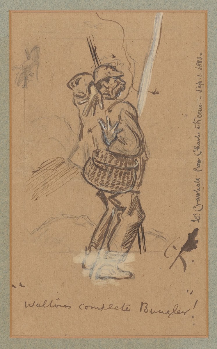 Waltons complete Bungler 1881