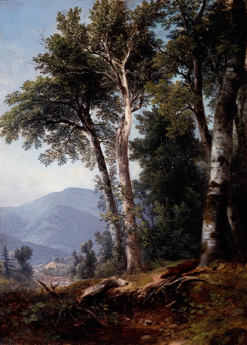 Woodland Landscape c1850