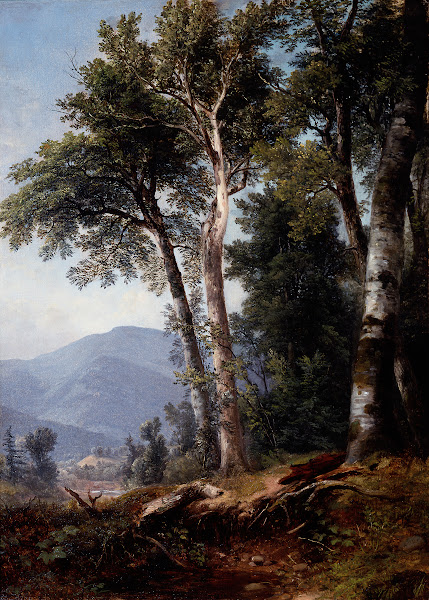 Woodland Landscape c1850