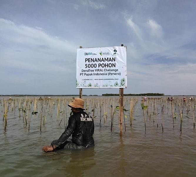 Pupuk Indonesia's commitment to mangrove restoration and empowering the local community through the construction of the Mangrove Restoration and Learning Center.