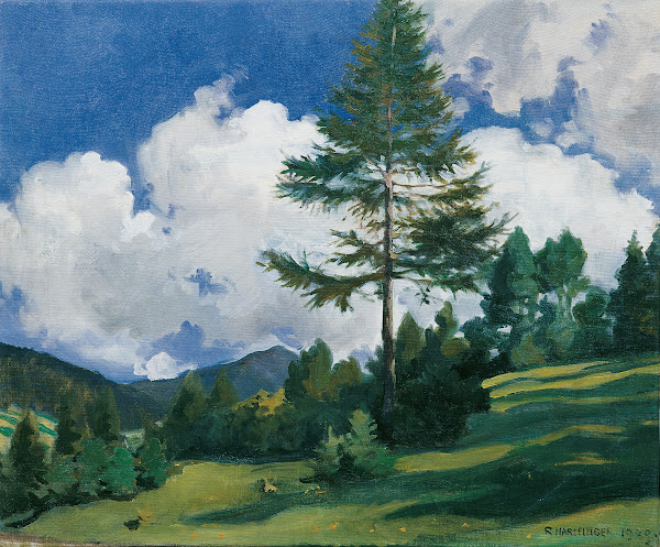 Motiv bei Toblach 1909