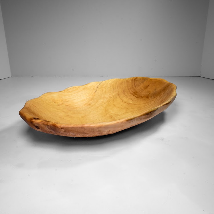 Manitoba Maple - St. Boniface - 12" view 4