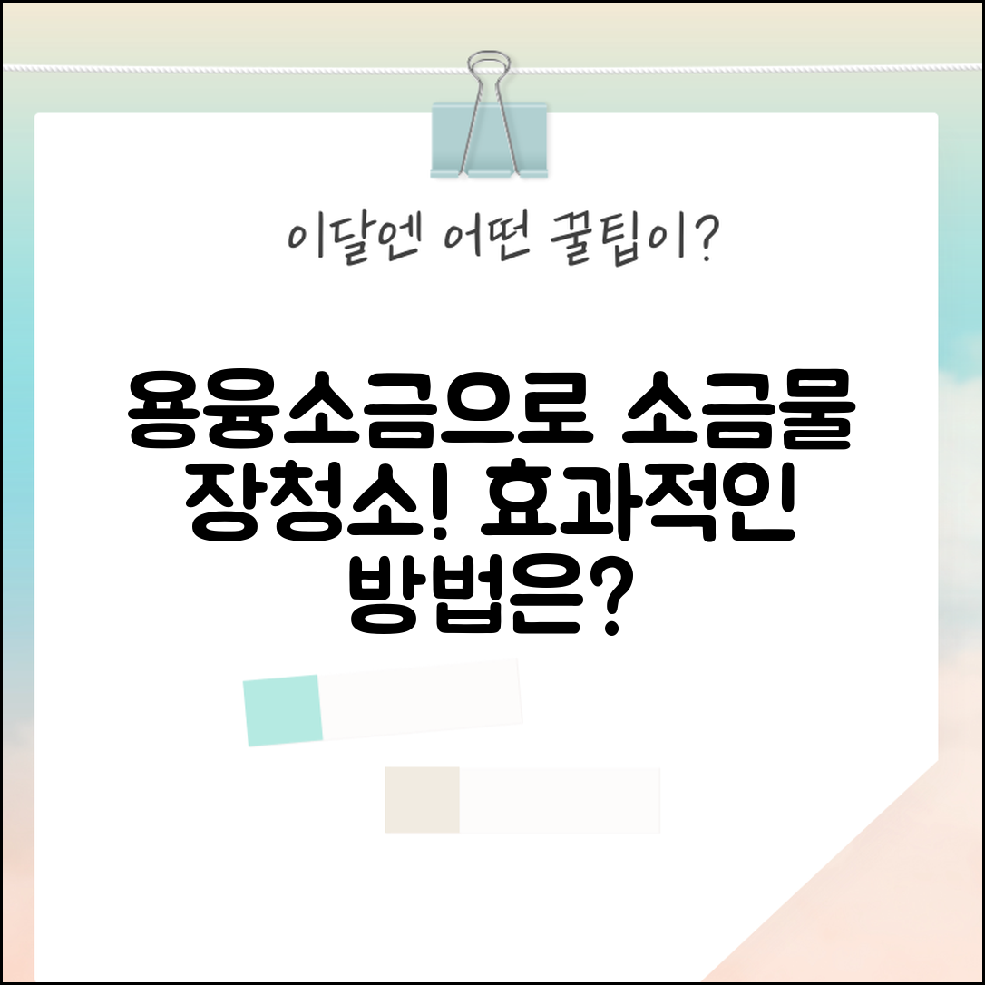 용융소금으로 소금물 장청소, 어떻게 할까요?