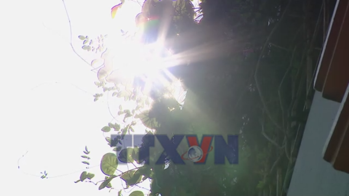 Làm thế nào để phòng chống say nắng? - Bnews