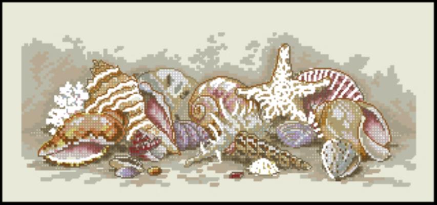 CMP 290022 Treasures Of The Sea