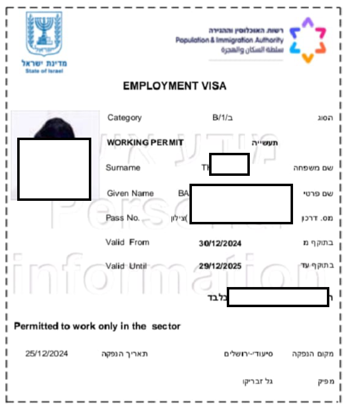 B1 Visa