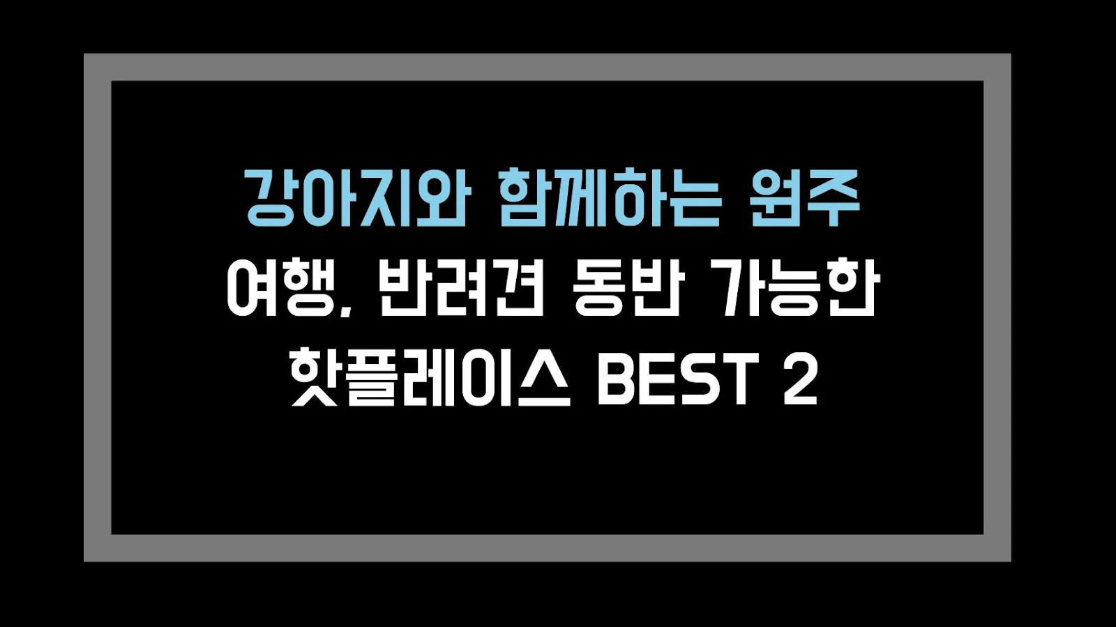 강아지와 함께하는 원주 여행, 반려견 동반 가능한 핫플레이스 BEST 2