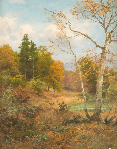 Autumn forest