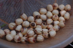 Hạt sen mua về rửa sạch. Hành lá rửa sạch, cắt nhỏ.