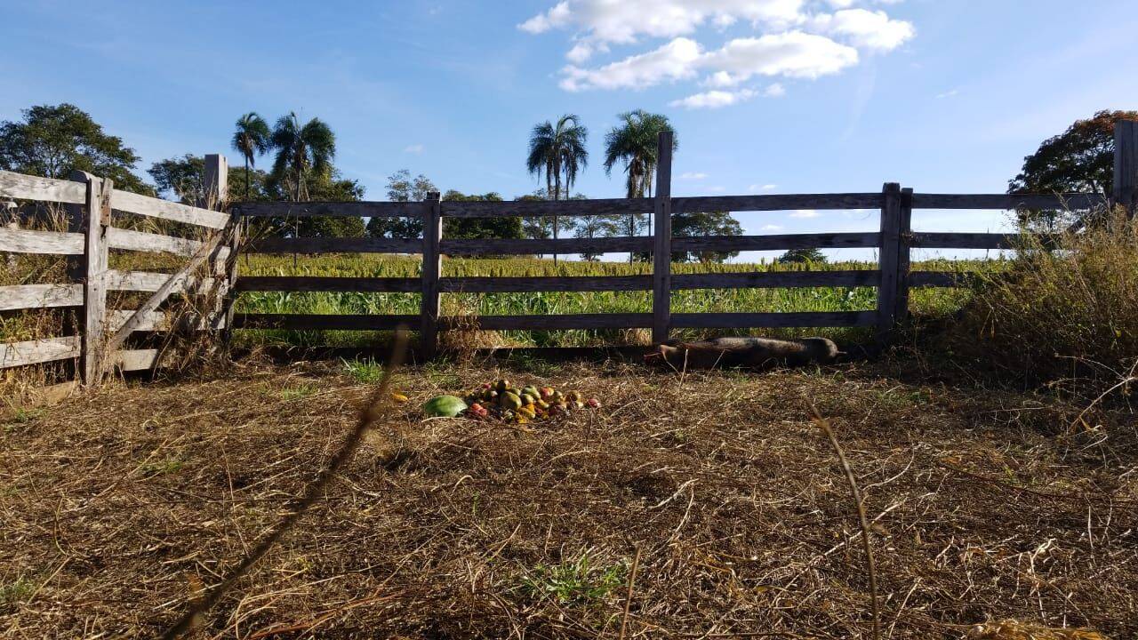 Chácara em Bela Vista de Goiás - GO 6