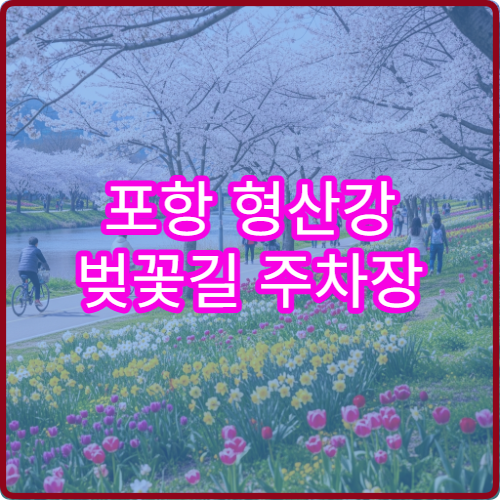 포항 형산강 벚꽃길 주차장 숨은 위치 학동항 무료 셔틀버스 시간