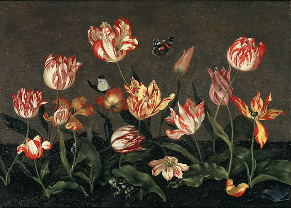 Johannes Bosschaert