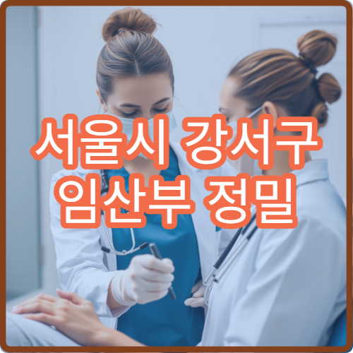 서울시 강서구 임산부 정밀 초음파 산전 기형아 검사 산부인과 병원