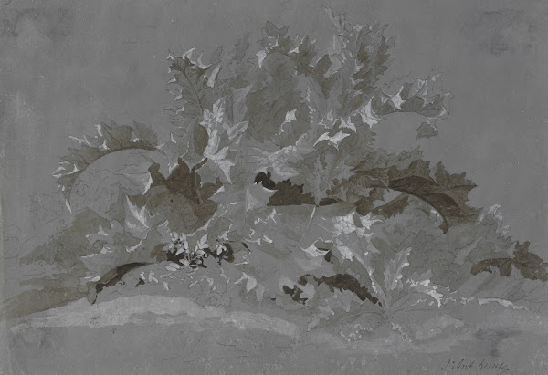 Study of Weeds 1800 1850