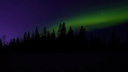 Green Aurora Lights Over The Tree 4K Wallpaper Background