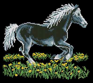 CMP 400429 Horse At Night