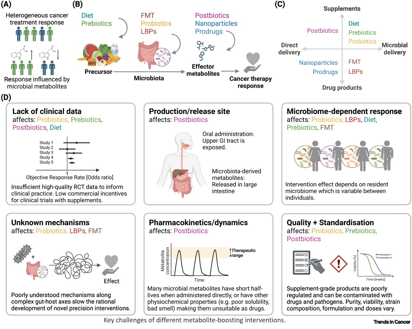 Gut microbial metabolites for potentiating cancer therapy