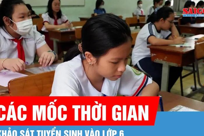 TPHCM: Thời gian và cấu trúc đề khảo sát tuyển sinh lớp 6 Trường Trần Đại Nghĩa - Báo Sài Gòn Giải Phóng