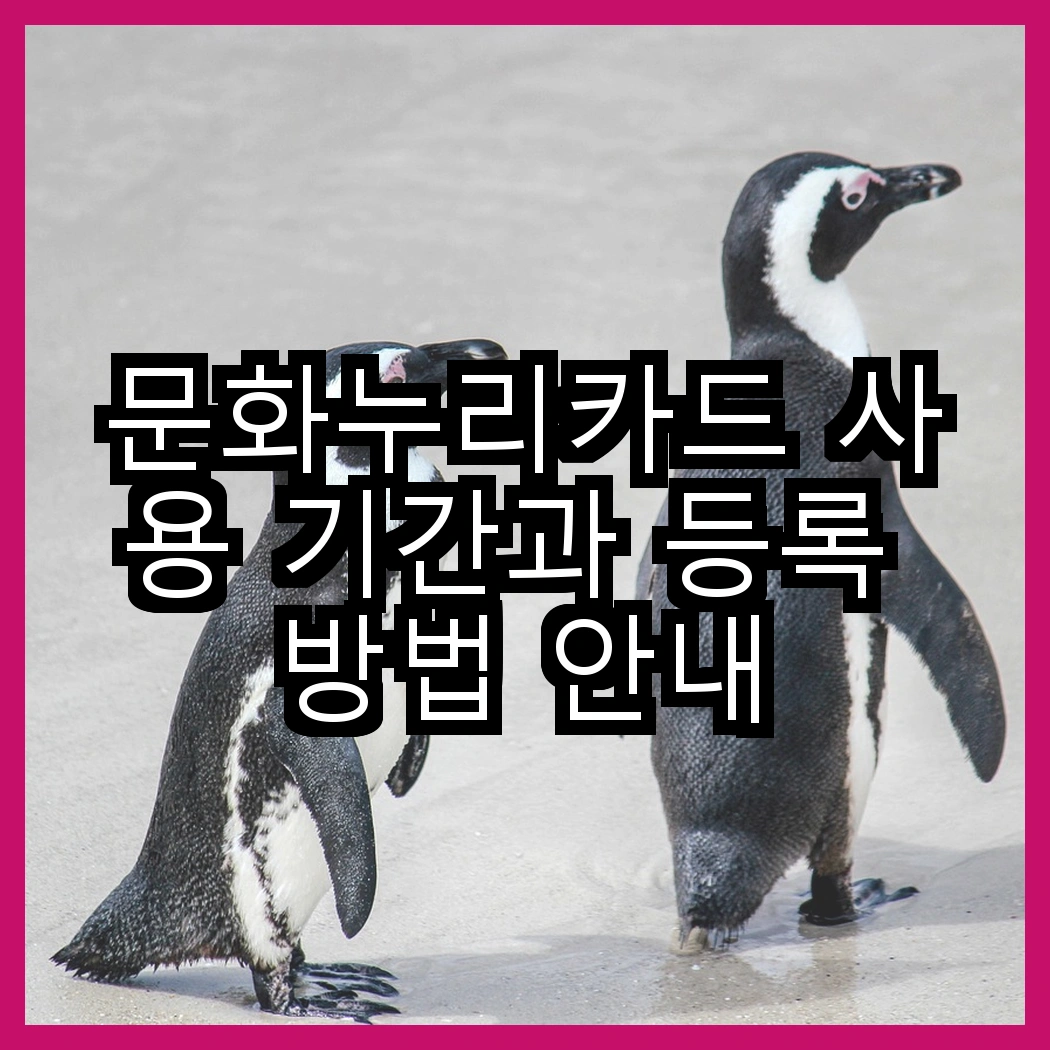 문화누리카드 사용 기간과 등록 방법 안내 썸네일