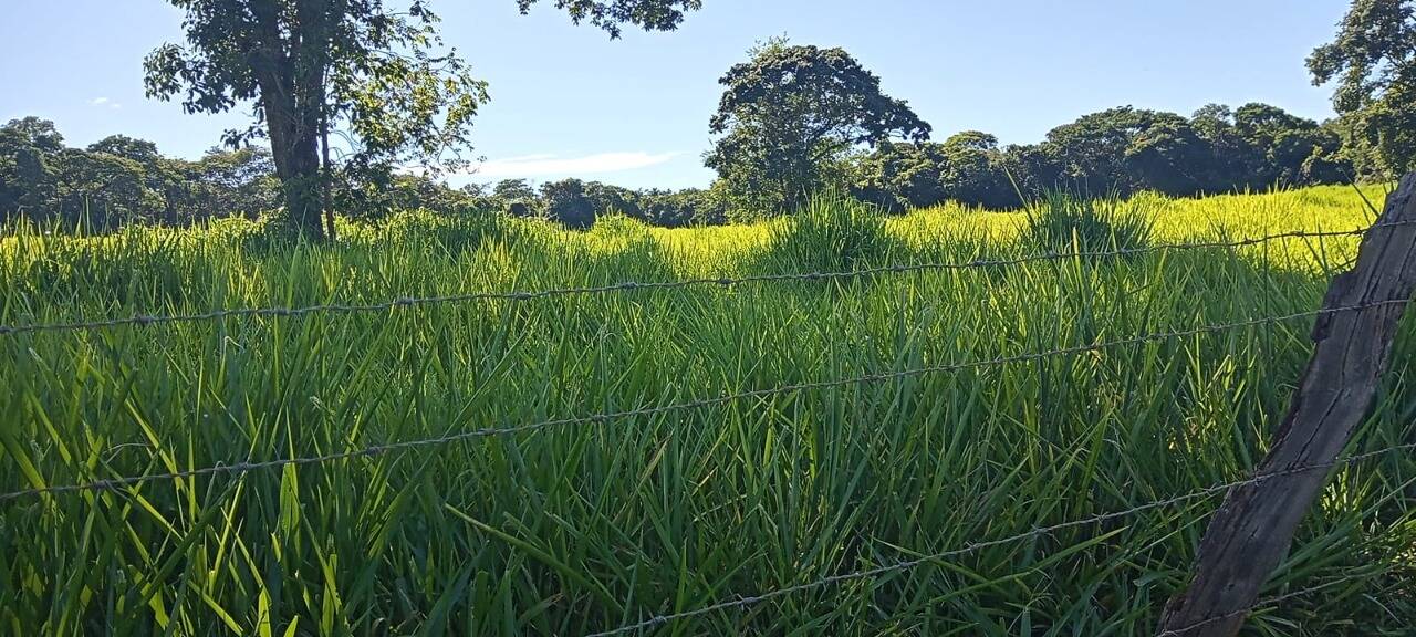 Fazenda em Caldazinha-GO 4