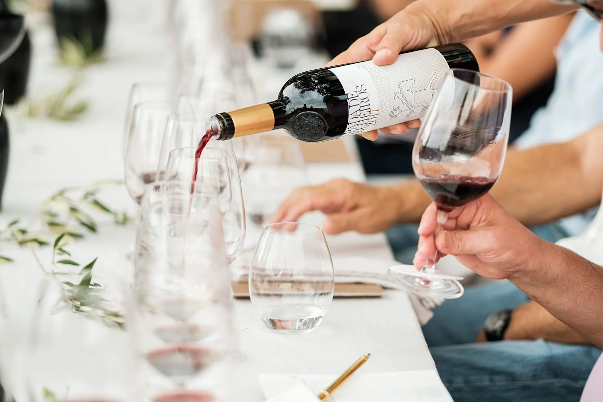 10-Day Portugal Family Journey: Douro Valley to Lisbon