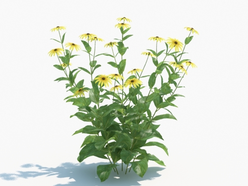 Maxtree - Plant Models Vol.3