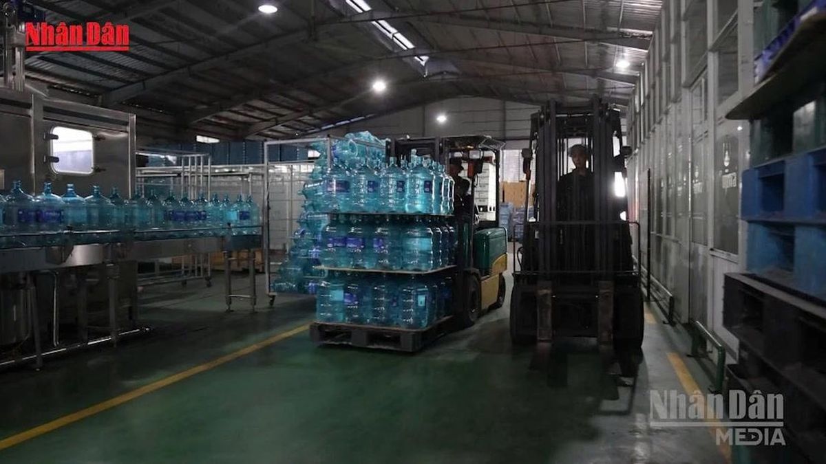 [Video] Hơn 325.000 doanh nghiệp bỏ địa chỉ đăng ký bị yêu cầu thu hồi giấy phép - Báo Nhân Dân