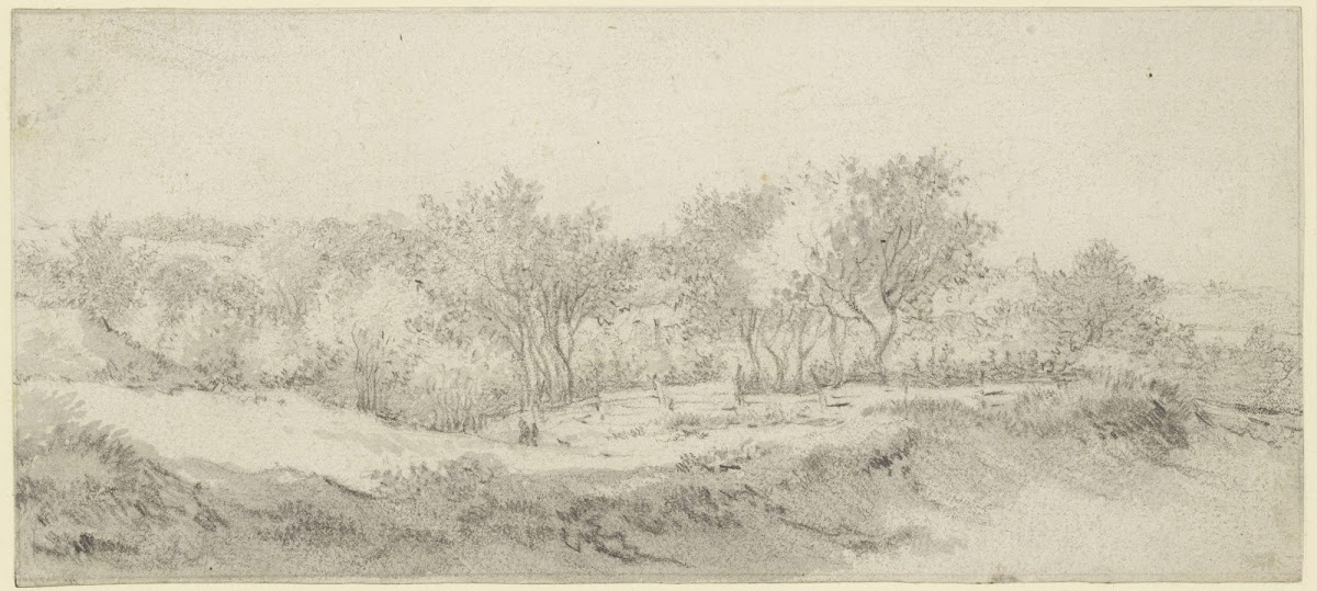 Small section of a tree with a fence