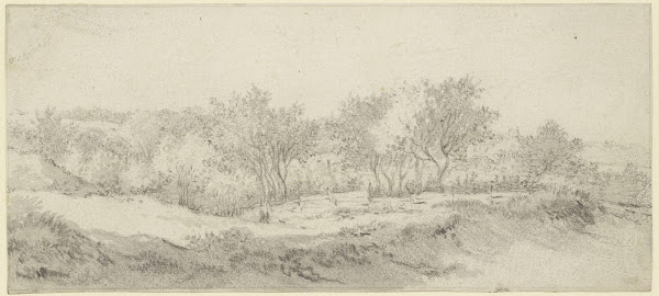 Small section of a tree with a fence