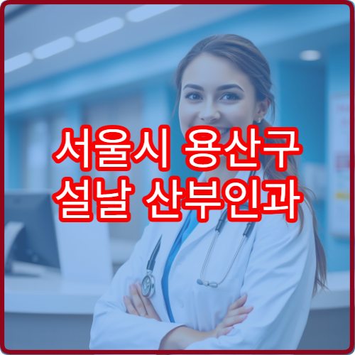 서울시 용산구 설날 산부인과 연휴 진료 병원 월경통·임신초기 상담 가능