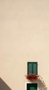 Minimalist Italian Stucco Wall Green Shutters Geraniums