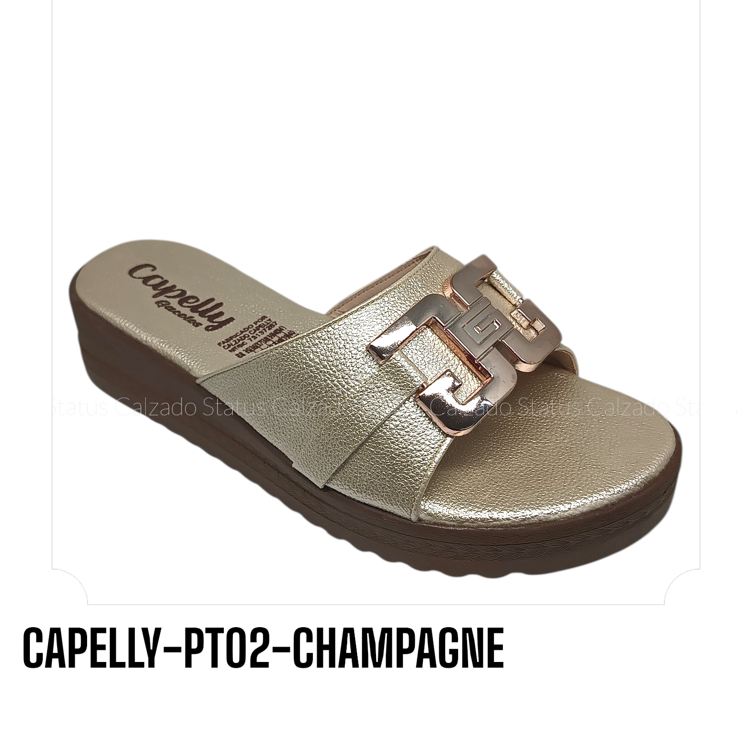 CAPELLY-PT02-CHAMPAGNE