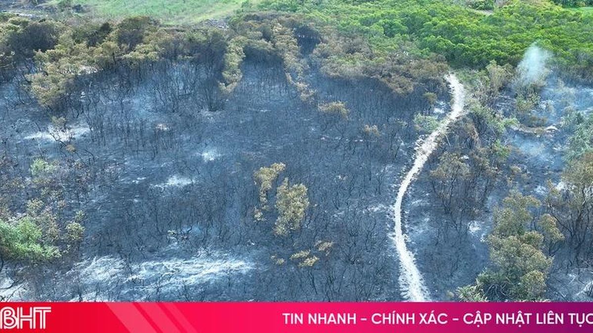 Khống chế thành công vụ cháy vùng tràm ở xã Thạch Khê - Báo Hà Tĩnh