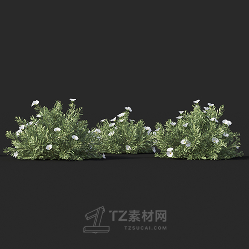 Maxtree - Plant Models Vol.60