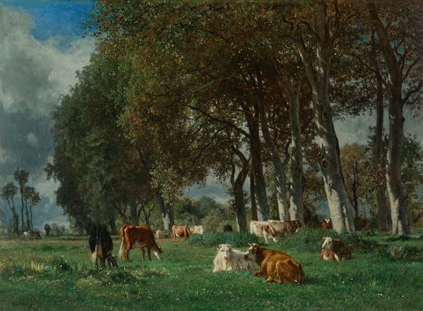 Vaches sous bois