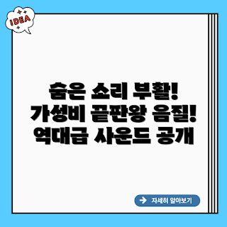 브리츠 BZ-T2230SNT, 블루투스 스피커, 가성비 스피커, 홈오디오, 2024 스피커 추천