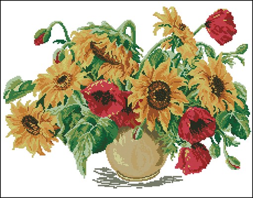 CMP 200660 Pattern
