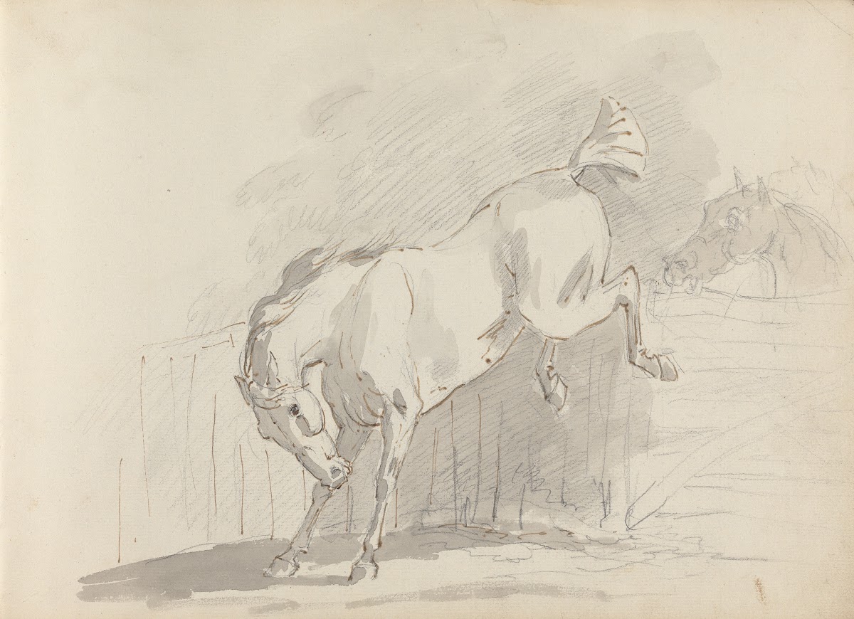 Fourty three Studies of Horses and Riders Pl20 1787
