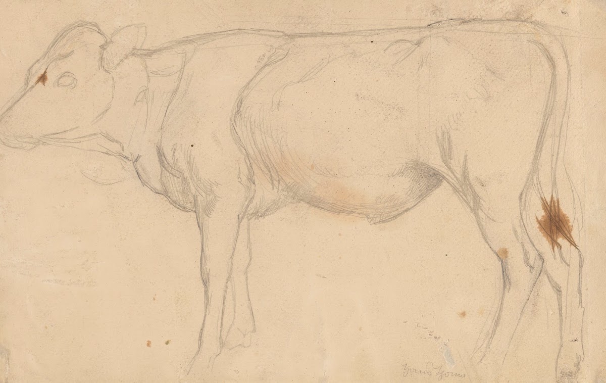 Standing Bull 1860   1924