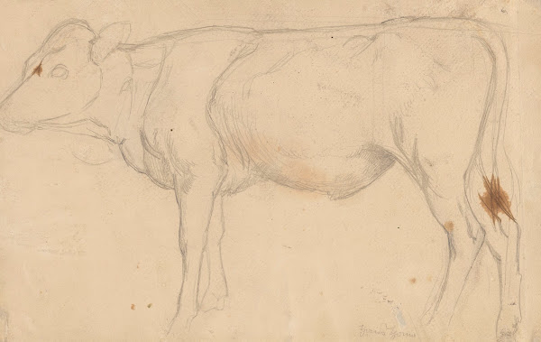 Standing Bull 1860   1924