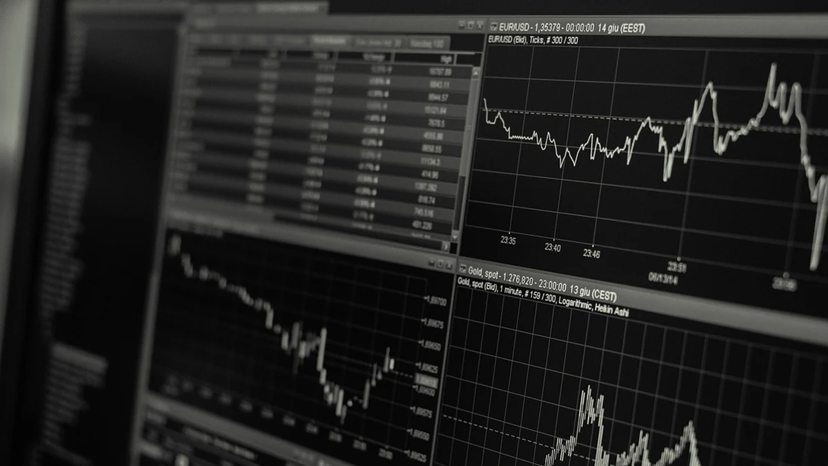 기준금리 인상 시 투자자들이 반드시 점검해야 할 핵심 지표들