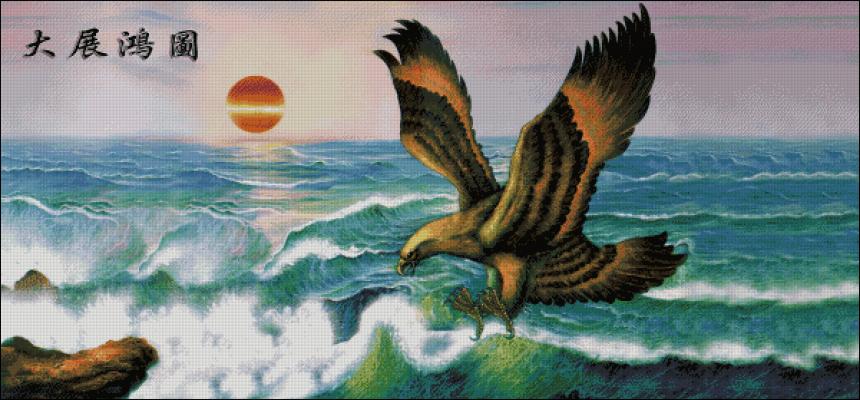 CMP 360112 Hawk