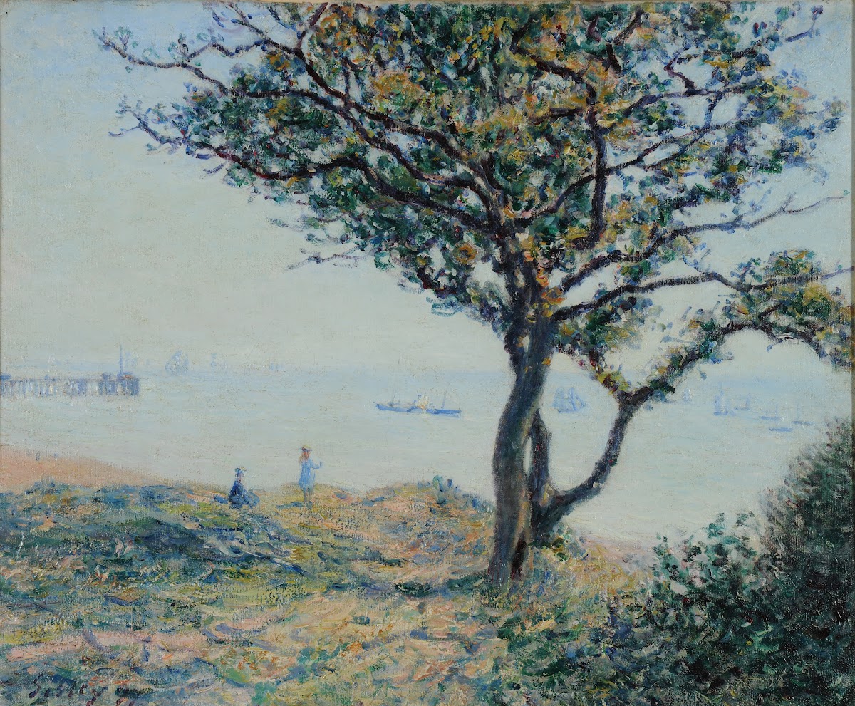 La rade de Cardiff 1897