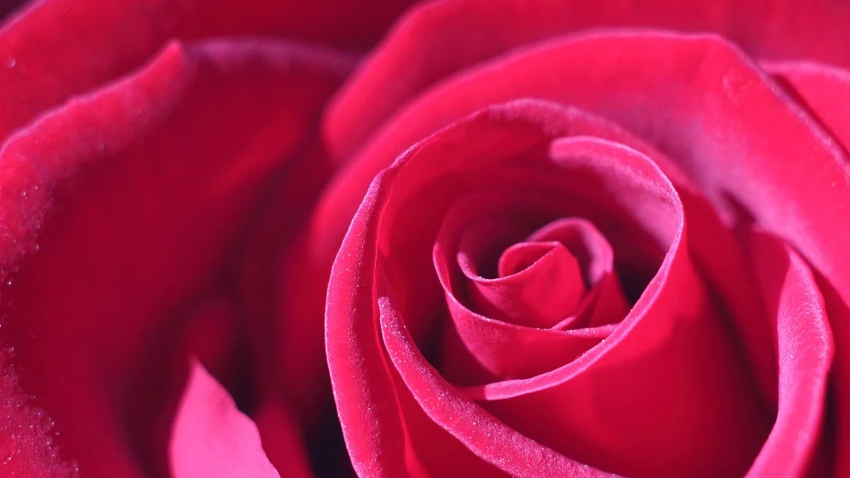 인간관계 갈등 발생 원인과 구조적 패턴 분석